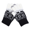Acrylgestrickte Handschuhe Lady Jacquard Touchscreen Handschuhe warme Winterhandschuhe